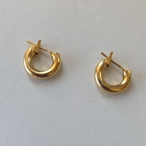 Elegant Golden Tone Hoop Earrings Small
